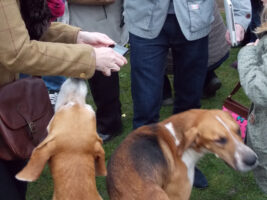 Lincolnshire’s first fox hunting charge resulted in conviction