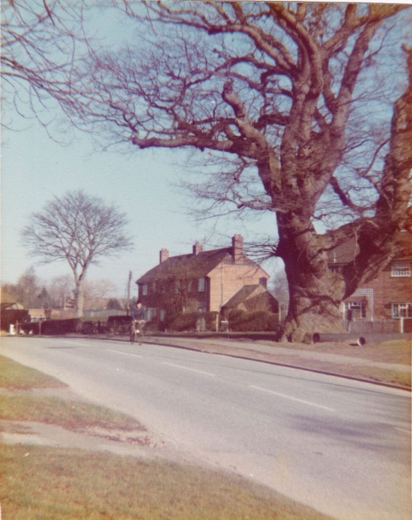 Grantham tree is England’s second favourite