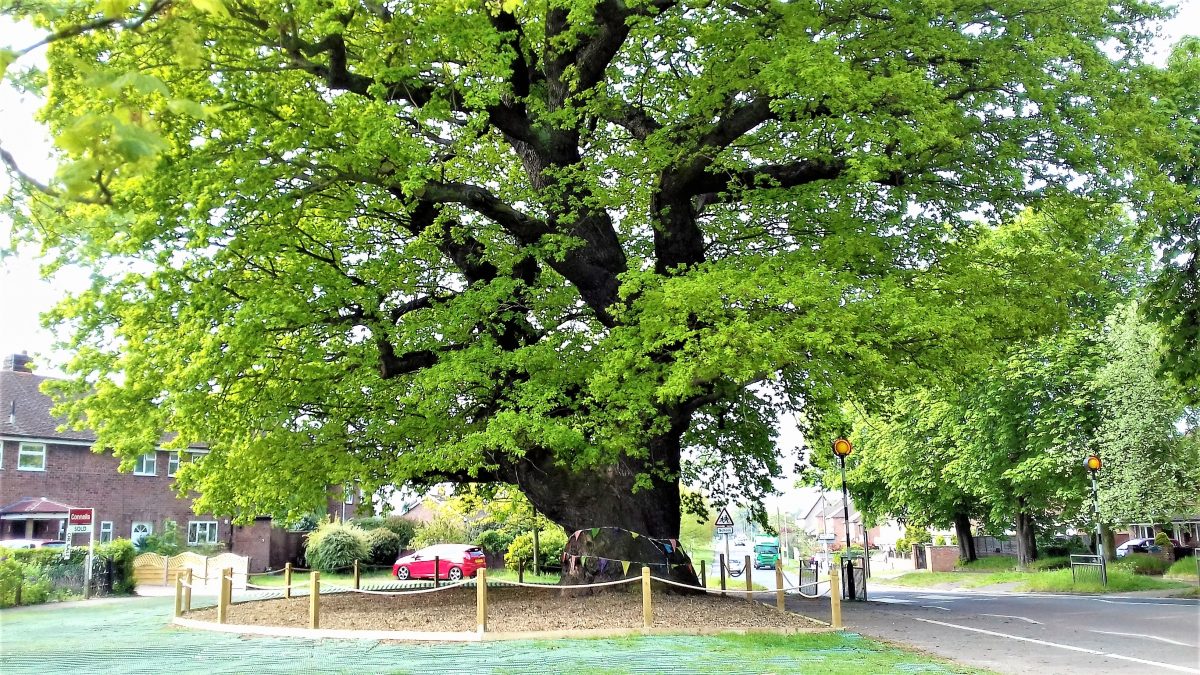 Grantham Oak gets makeover