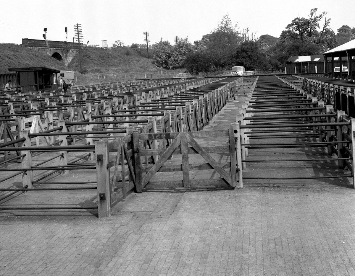 cattle-market-grantham-matters