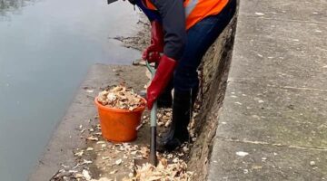 Grantham rivercare cleaning out bread from side of river witham