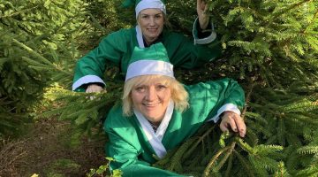 St Barnabas Christmas tree recycling collection