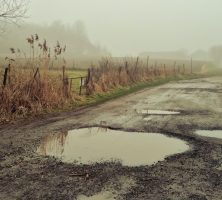 83% of drivers paying out of pocket for pothole damage