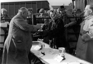 Grantham Cattle Market