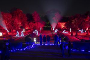 Two weeks to go before Christmas at Belton dazzles once again