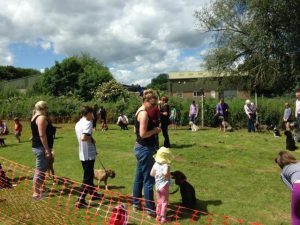 Remember this Grantham dog show?