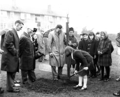Tree planting in town centre