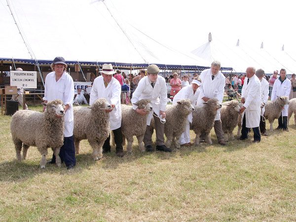 Early bird tickets are now on sale for this year’s Heckington Show!