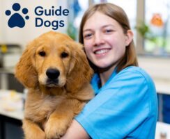 Guide Dogs are in need of fundraisers in Grantham