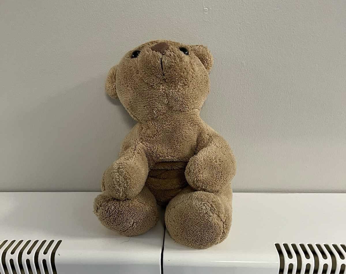 Help bear return home