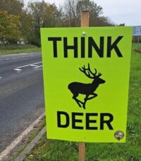 Oh deer! Mind how you go