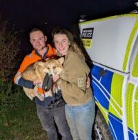 Hunt for missing dog following crash near Grantham